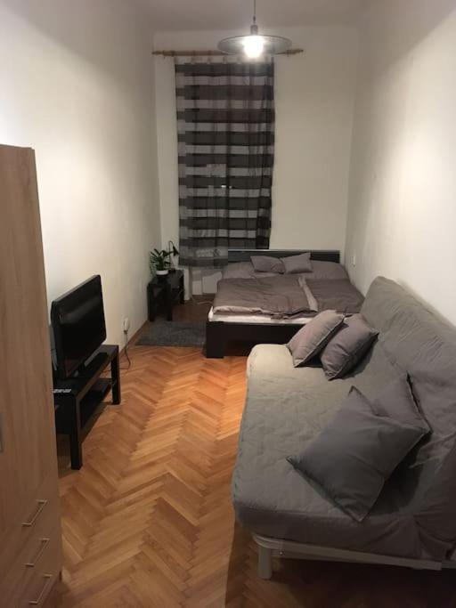 Utulne Ubytovani U Centra V Blizkosti Vystaviste Брно Экстерьер фото